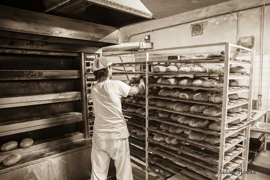 Pekárna a čerstvě upečené bochínky chleba